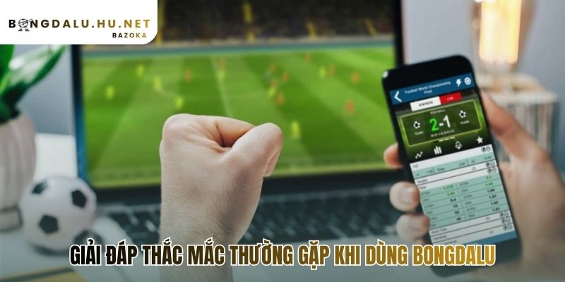 Trả lời các câu hỏi về chi phí và độ chính xác của dữ liệu
