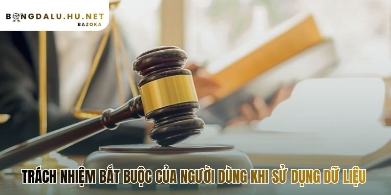 Chính sách miễn trừ trách nhiệm yêu cầu người dùng tuân thủ luật